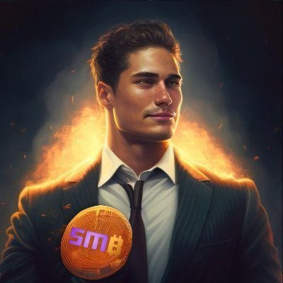 SMB BRC 20 FUND