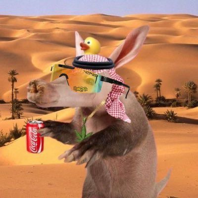 ETHEREUM HABIBI